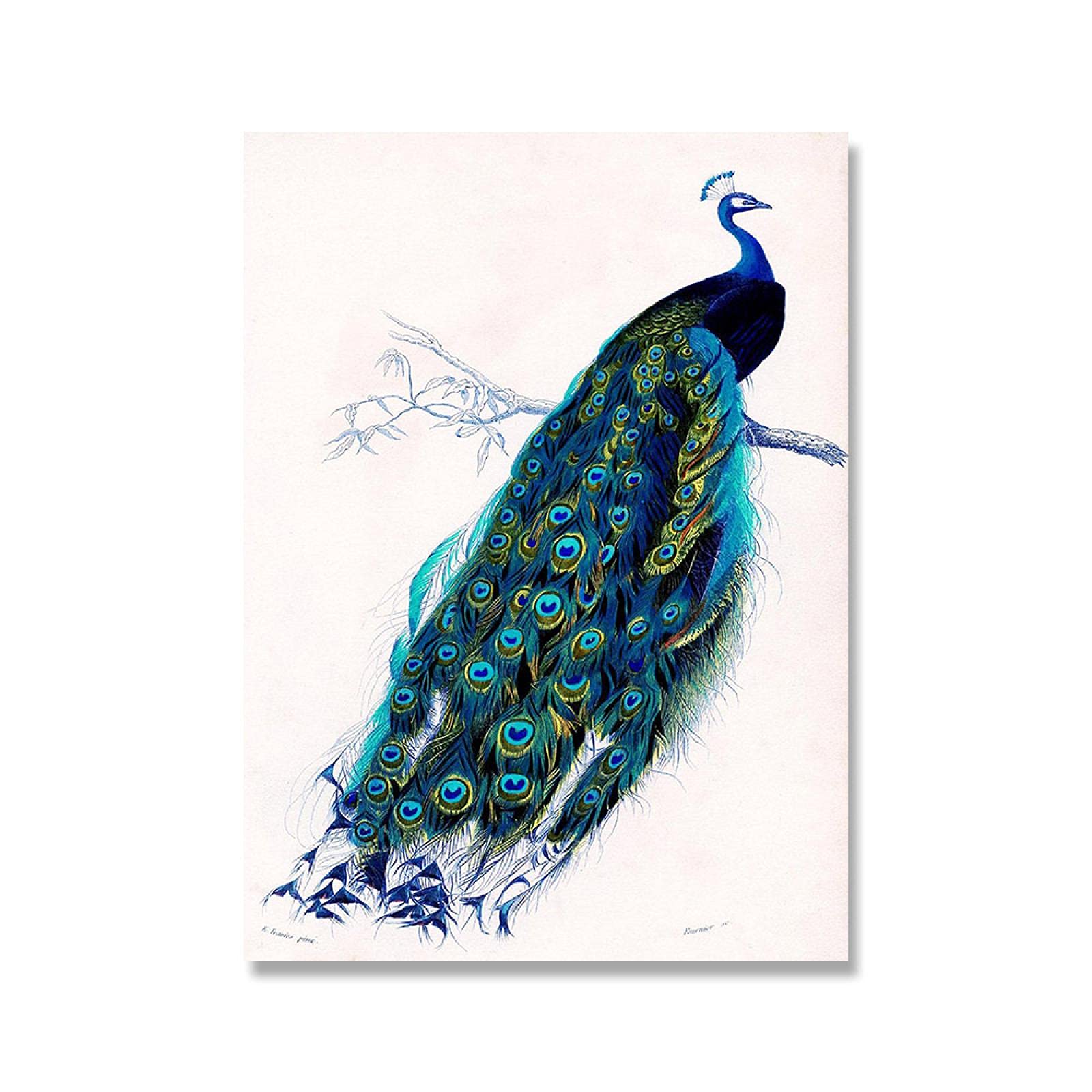 原画『 shaping Hawk 』アクリル水彩 絵画 アート イラスト 猛禽類 絵画〉「梟」アクリル・油絵 （原画） | art yoko